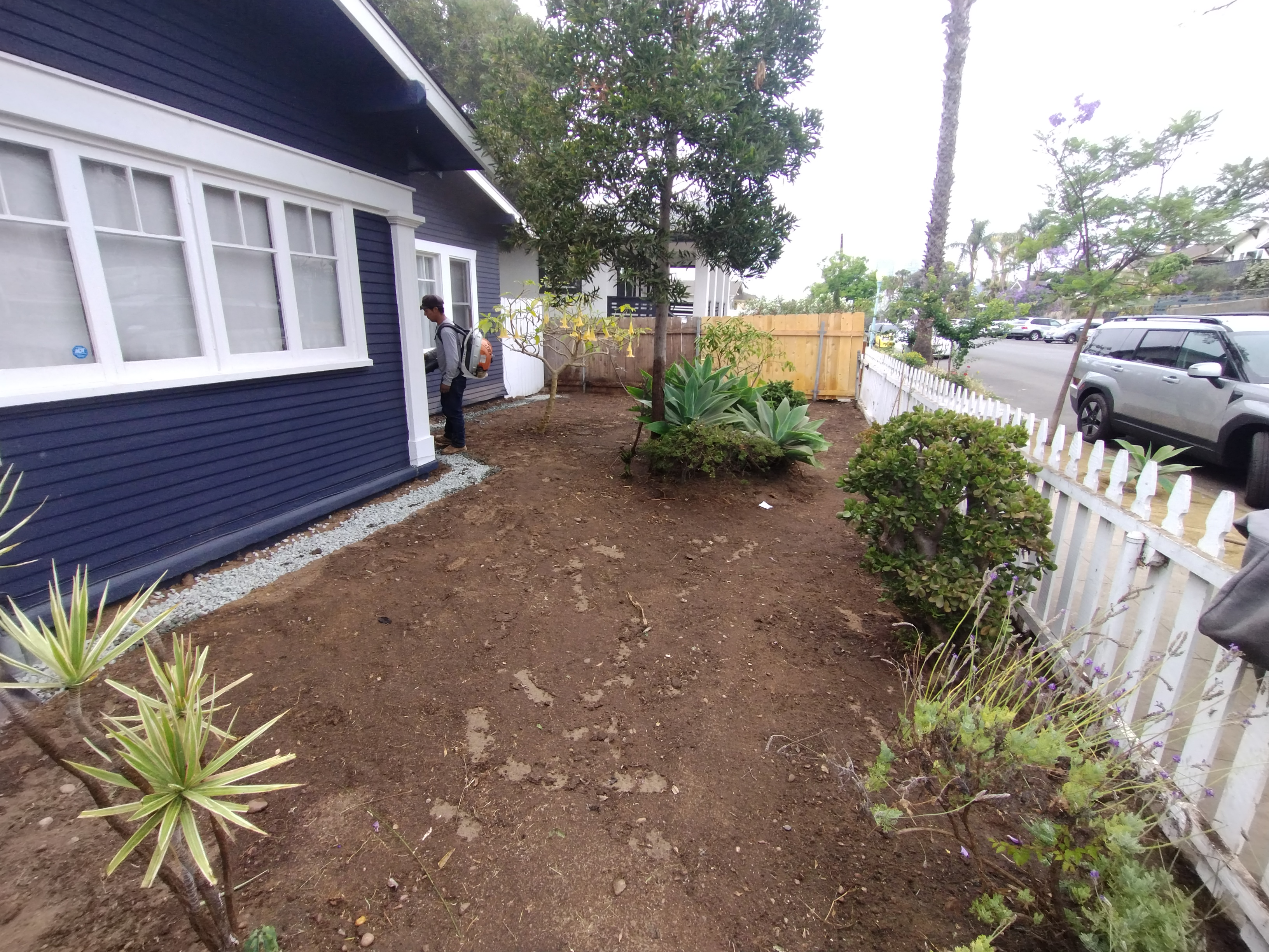 Landscaping Project 2