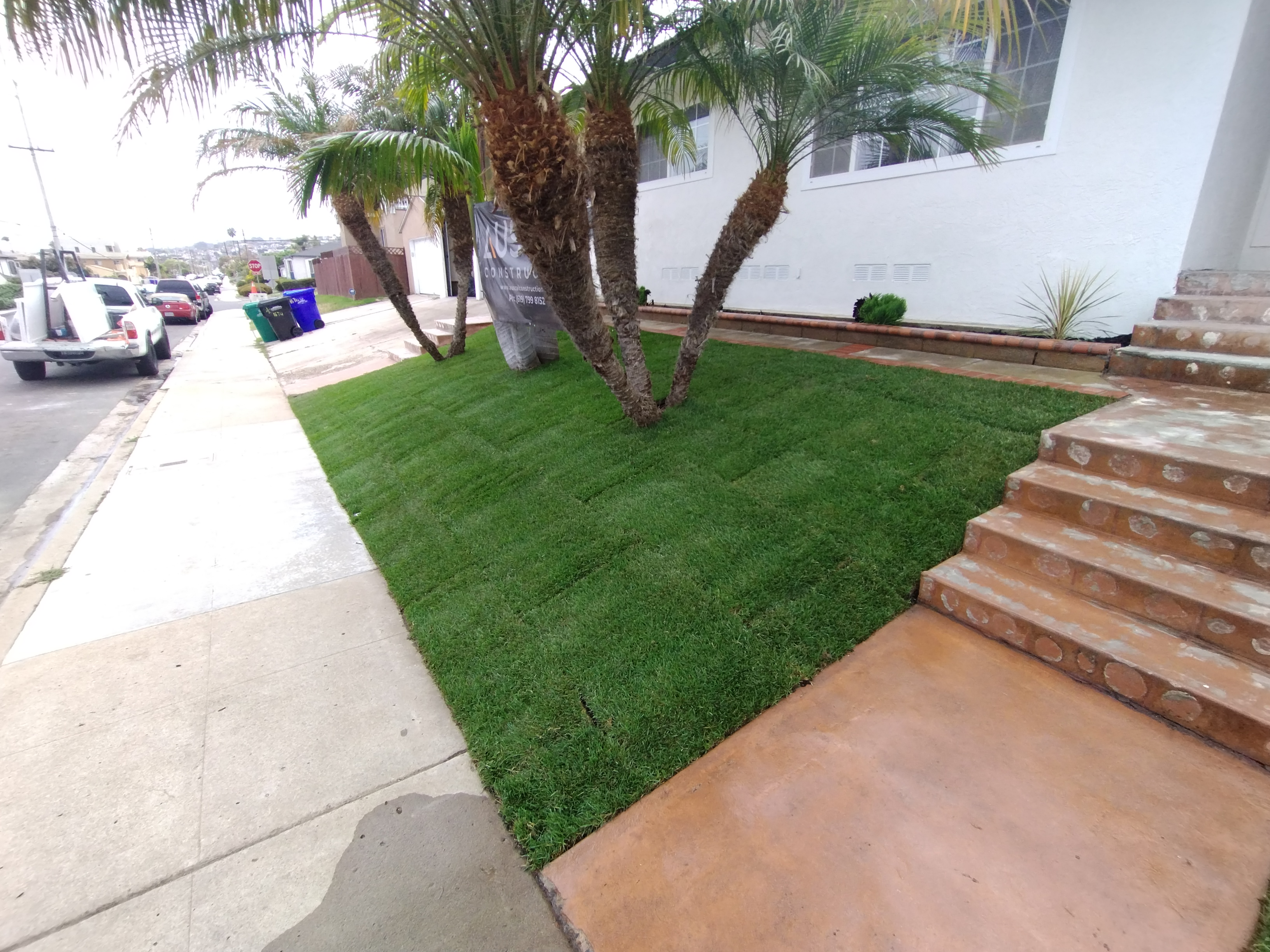 Pet Safe Fertilization