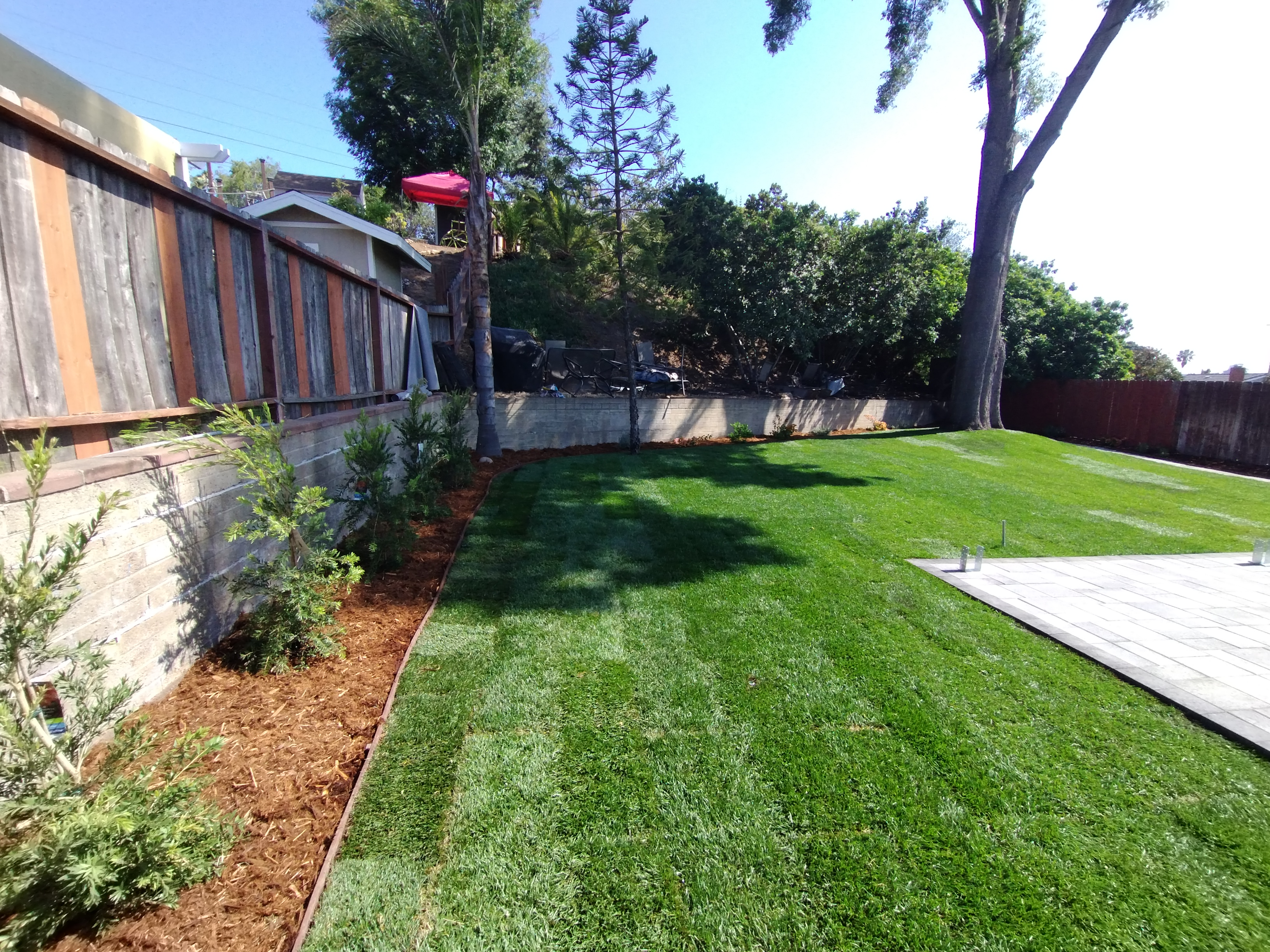 Lawncare Project 3