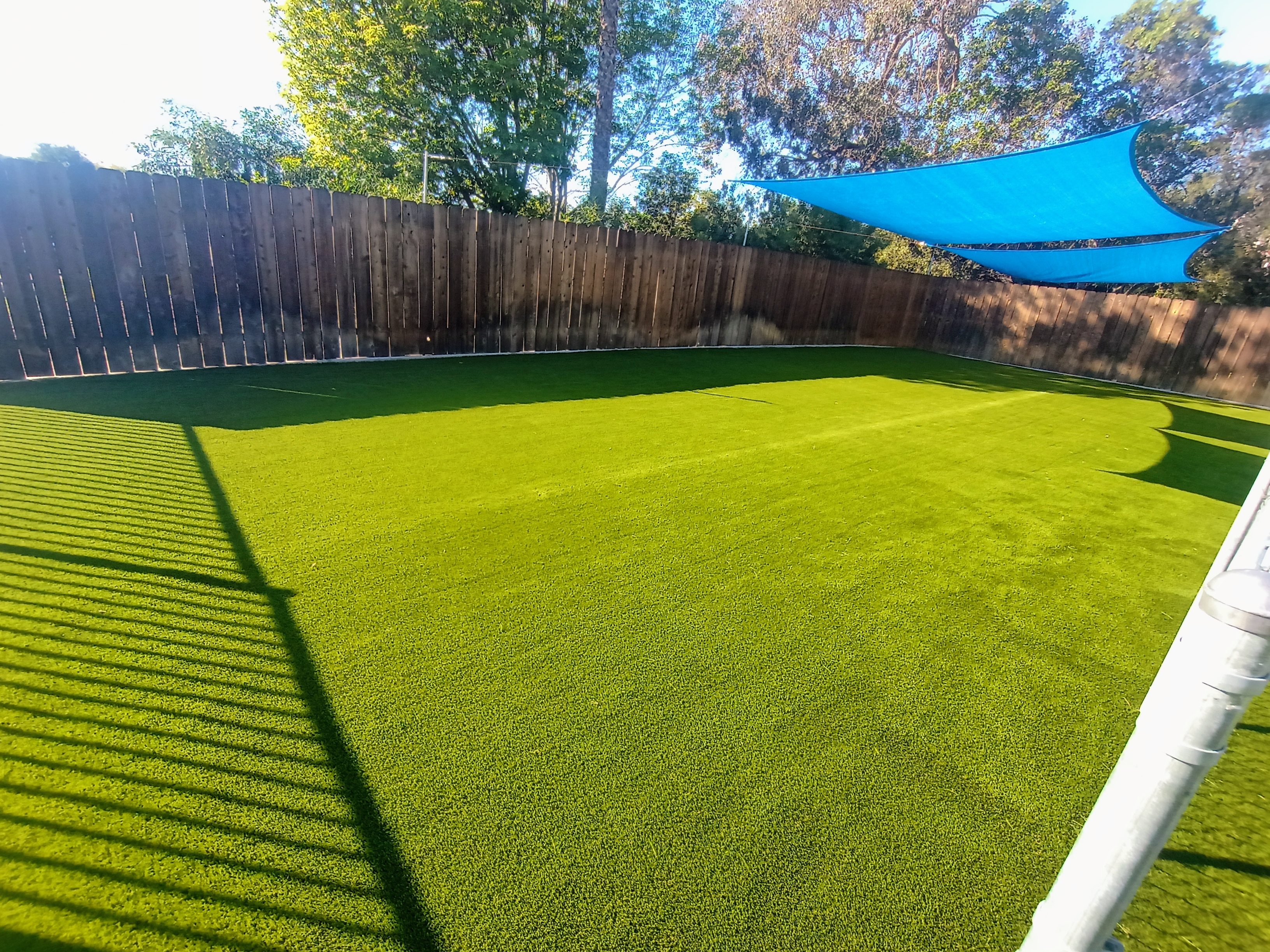 Pet Turf